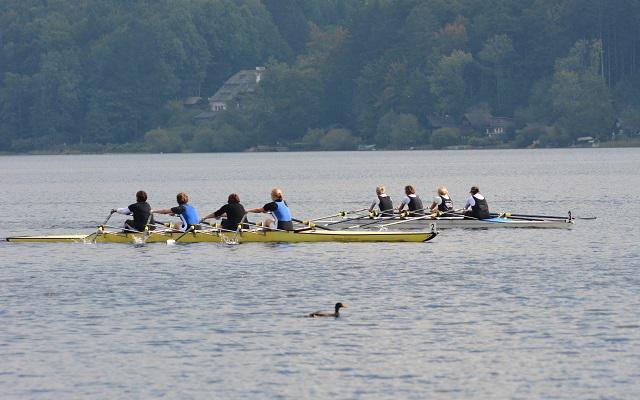 6-Seen-Regatta Wallersee 2017